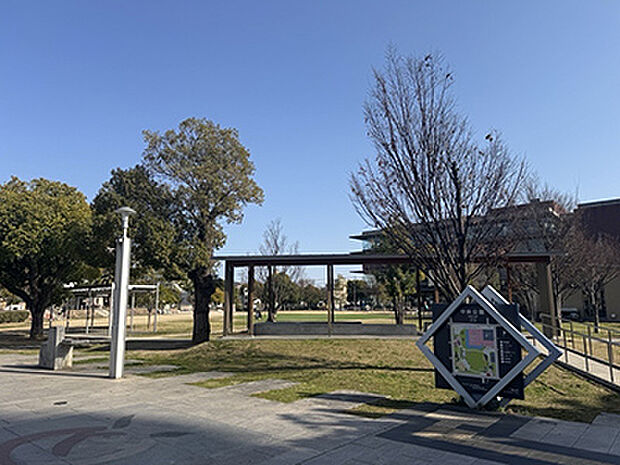 中央公園
