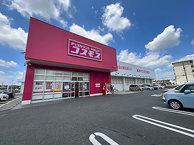 ドラッグストアコスモス 武蔵野台店