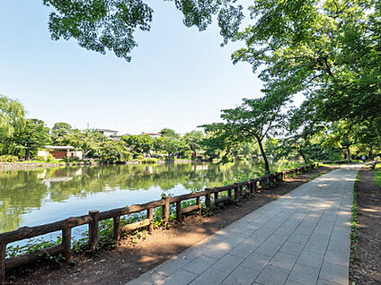 石神井公園 約1630m