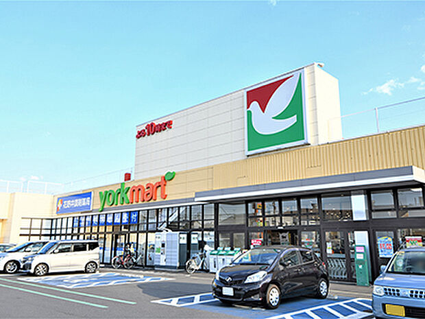 ヨークマート 花野井店