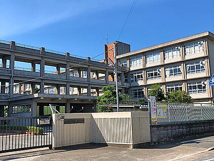 加古川市立加古川小学校 約550m