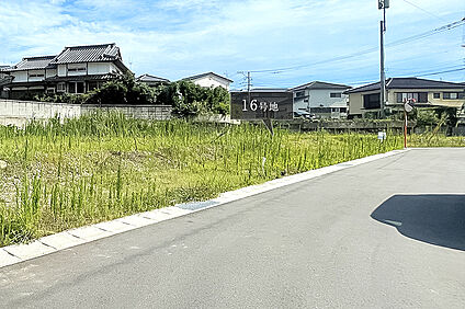 16号地 現地写真