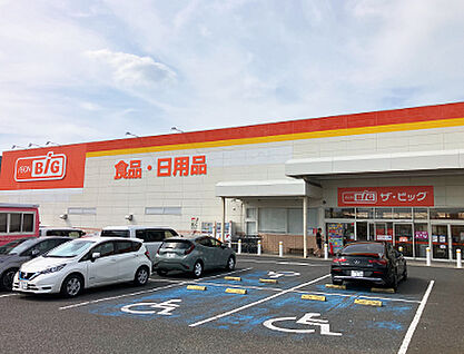 ザ・ビッグ小郡店 約1620m