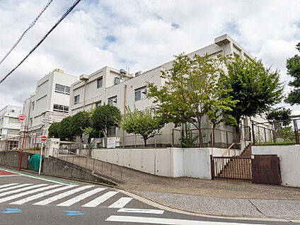 世田谷区立玉川小学校 約430m