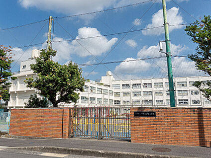 横浜市立すみれが丘小学校 約890m