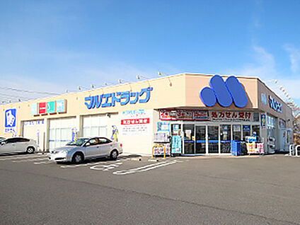 マルエドラッグ元総社蒼海店 約670m