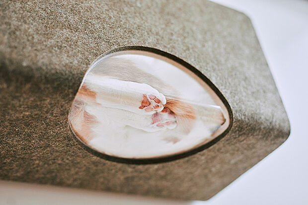 猫壁（にゃんぺき）のアクリルボックスタイプは、愛猫の肉球が覗けます。