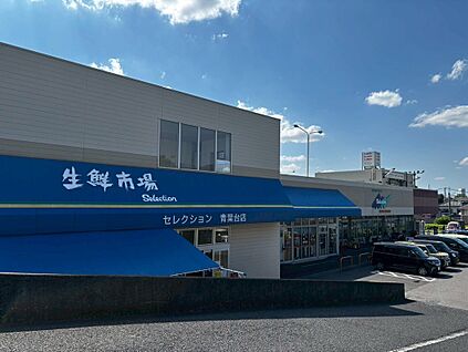 セレクション青葉台店（スーパーマーケット） 550ｍ(徒歩約7分)