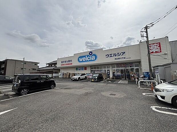 ウエルシア流山野々下店（約500m）
