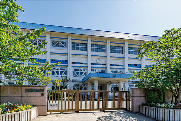 市立東谷中学校 （約1m）