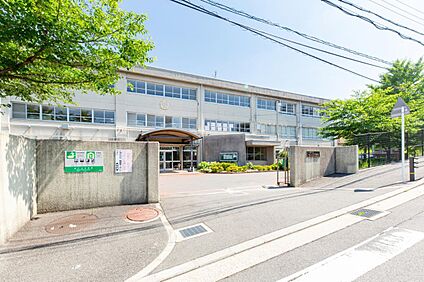 八幡市立さくら小学校 500m(7分)