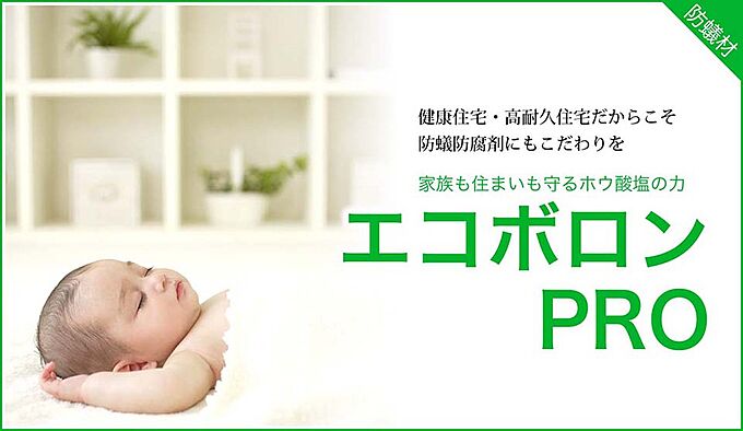 熊本城にも使用されるシロアリ対策【エコボロン】