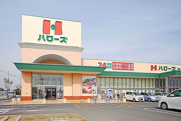 ハローズ西二見店(約1,000m)