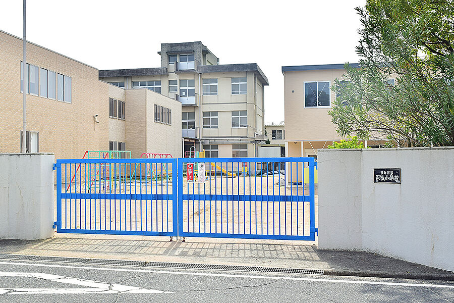 【学校】市立沢池小学校