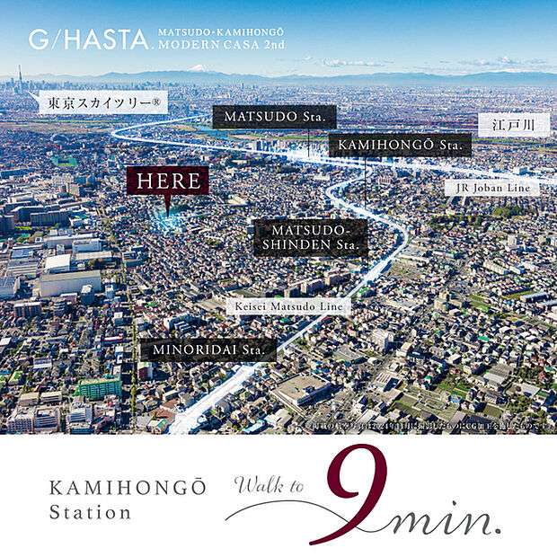 【--】※2024年11月撮影