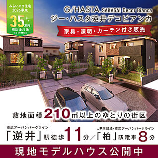 ★家具・照明・カーテン付き販売★