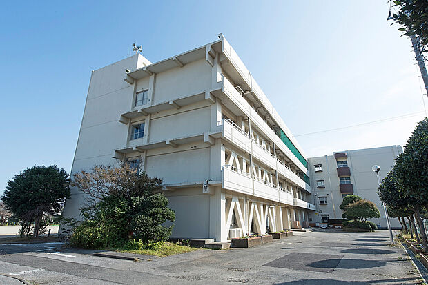 七林小学校