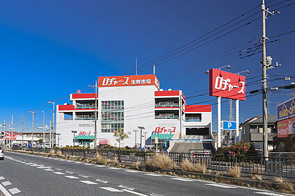ロヂャース 越谷店（現地より徒歩5分） 約390m