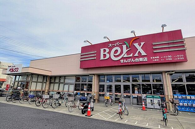 ベルクスせんげん台東店(現地より徒歩9分)