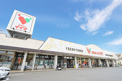 コモディイイダ榛松店（現地より徒歩11分） 約860m
