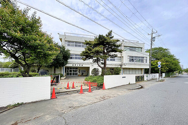 高津小学校（現地より徒歩11分）