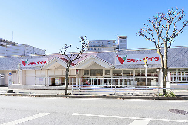 コモディイイダ流山店（現地より徒歩10分）