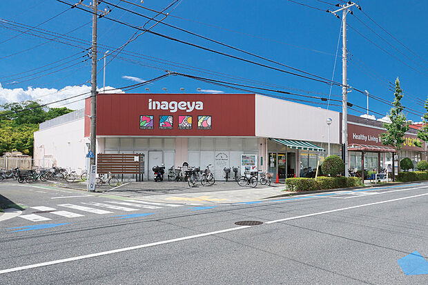 いなげや江戸川春江店（現地より徒歩6分）