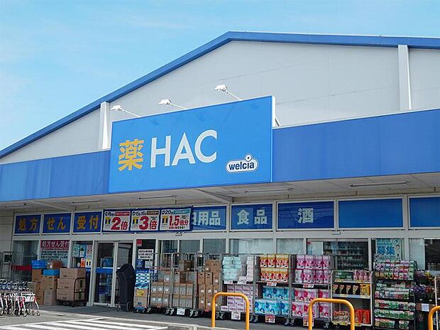 ハックドラッグ辻堂店