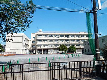横浜市立篠原小学校 210m 