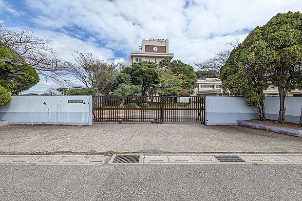 牛島小学校(現地より徒歩14分)