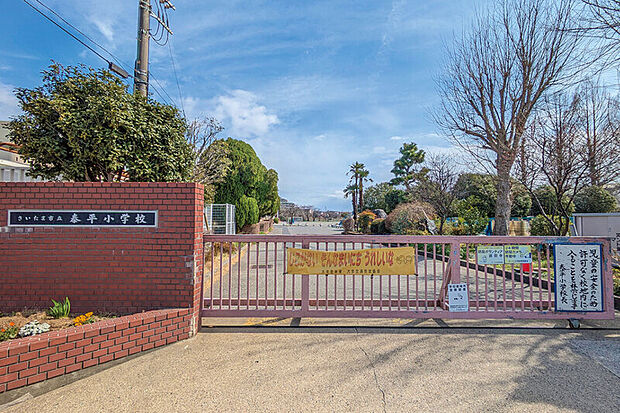 泰平小学校（現地より徒歩11分）