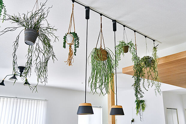 【【ライティングレール】】照明埋込式のライティングレール。植物の鉢植えを吊るして、ボタニカルな空間演出もできます。※照明は付いておりません。※号棟により採用状況が異なります。※写真はイメージです。