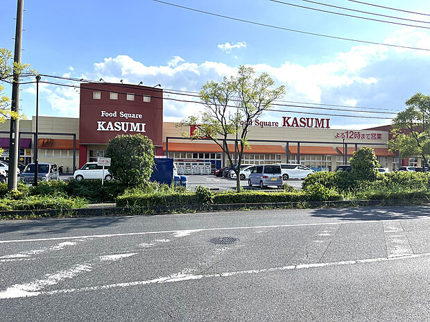 カスミフードスクエア ビバモール加須店(約750m)