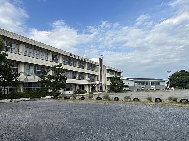 館林市立第九小学校(約590m)