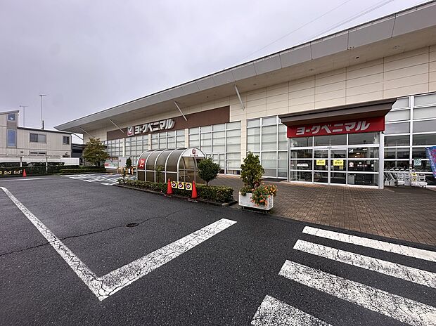 ヨークベニマル 簗瀬店(約500m)