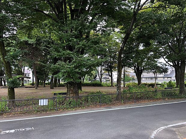 くじら森公園（約1,000m）
