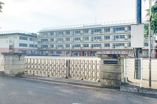 栃木市立栃木中央小学校
