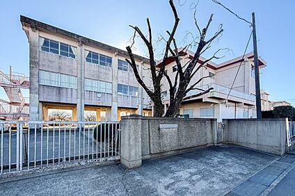 土浦市立神立小学校 徒歩1200m