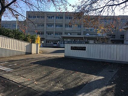 深谷市立上柴東小学校 徒歩800m