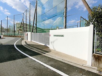 柏原市立玉手中学校 約960ｍ(徒歩約12分)