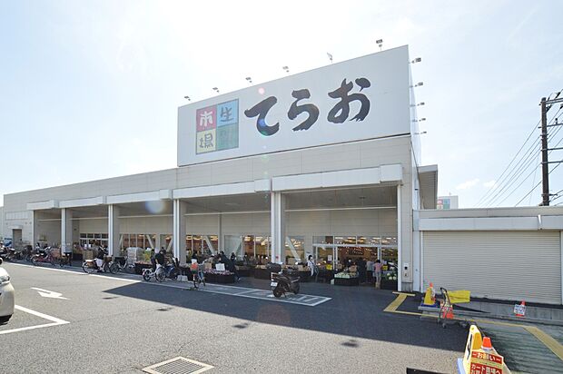 生鮮市場てらお八千代店（約500m）