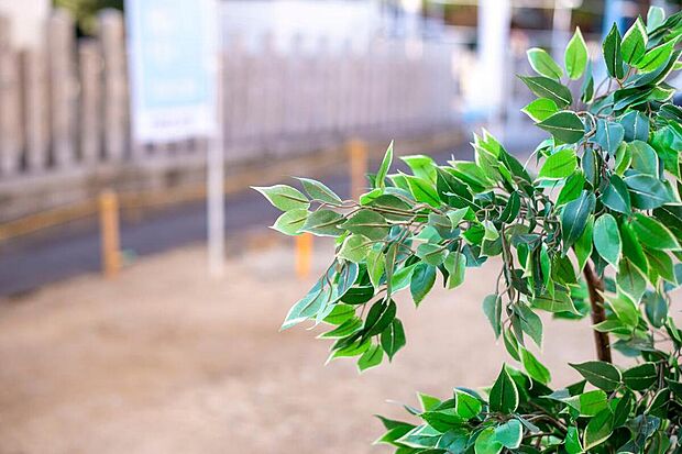 【公園南矢田1丁目 分譲地】
敷地面積30坪超×自由設計対応分譲地が誕生！大阪メトロ御堂筋線「長居」駅まで徒歩13分(自転車4分)。2沿線利用可能な便利な立地です。長居公園まで自転車3分です◎