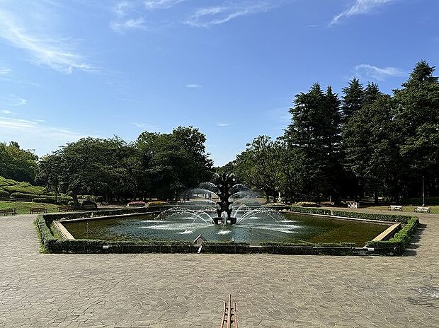 世田谷公園