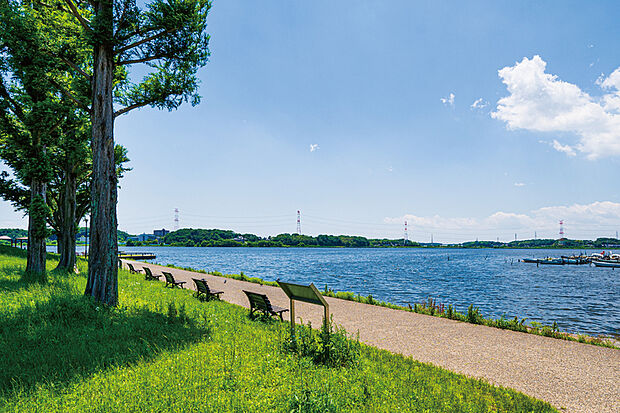 手賀沼公園（現地より徒歩30分）