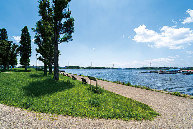 手賀沼公園（現地より徒歩17分）