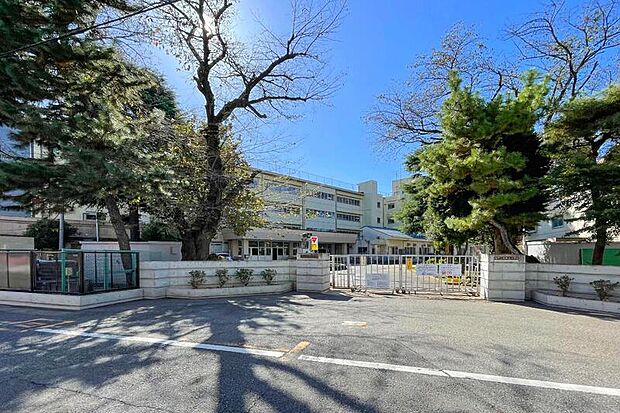 柏第三小学校（現地より徒歩16分）