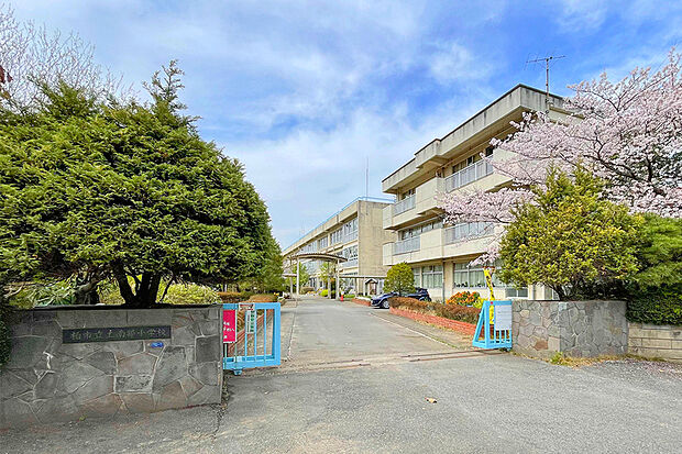 土南部小学校（現地より徒歩14分）