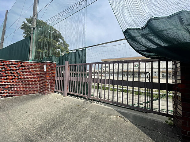 伊興中学校（約594m）