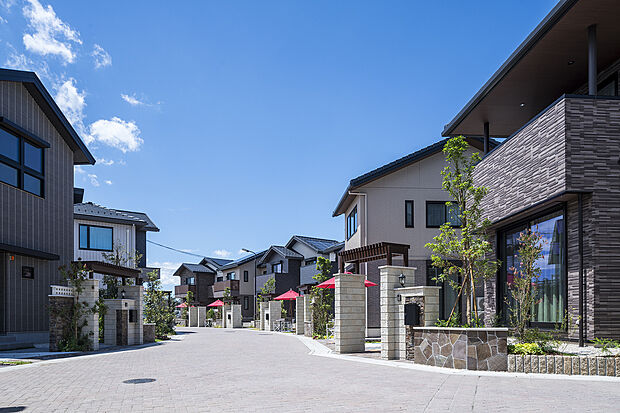 波紋をイメージした、緩やかな曲線道路が象徴的な街区計画。