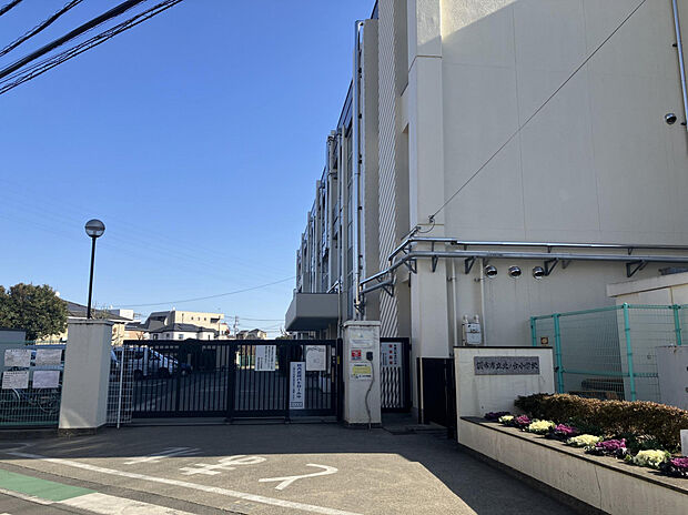 市立北ノ台小学校（約600m）